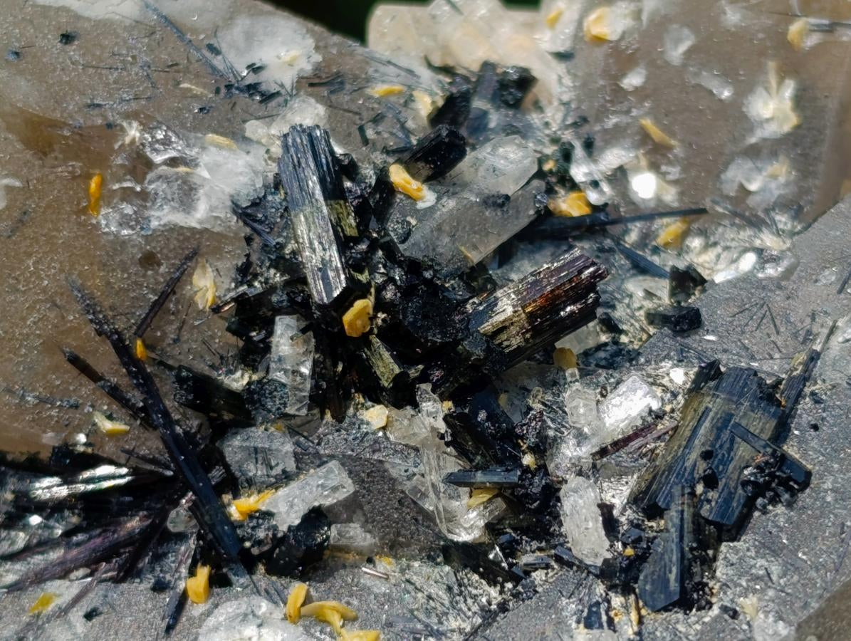 Natural Erongo Smokey Quartz with Black Schorl Tourmaline in a Splayed Formation x 1 From Erongo, Namibia