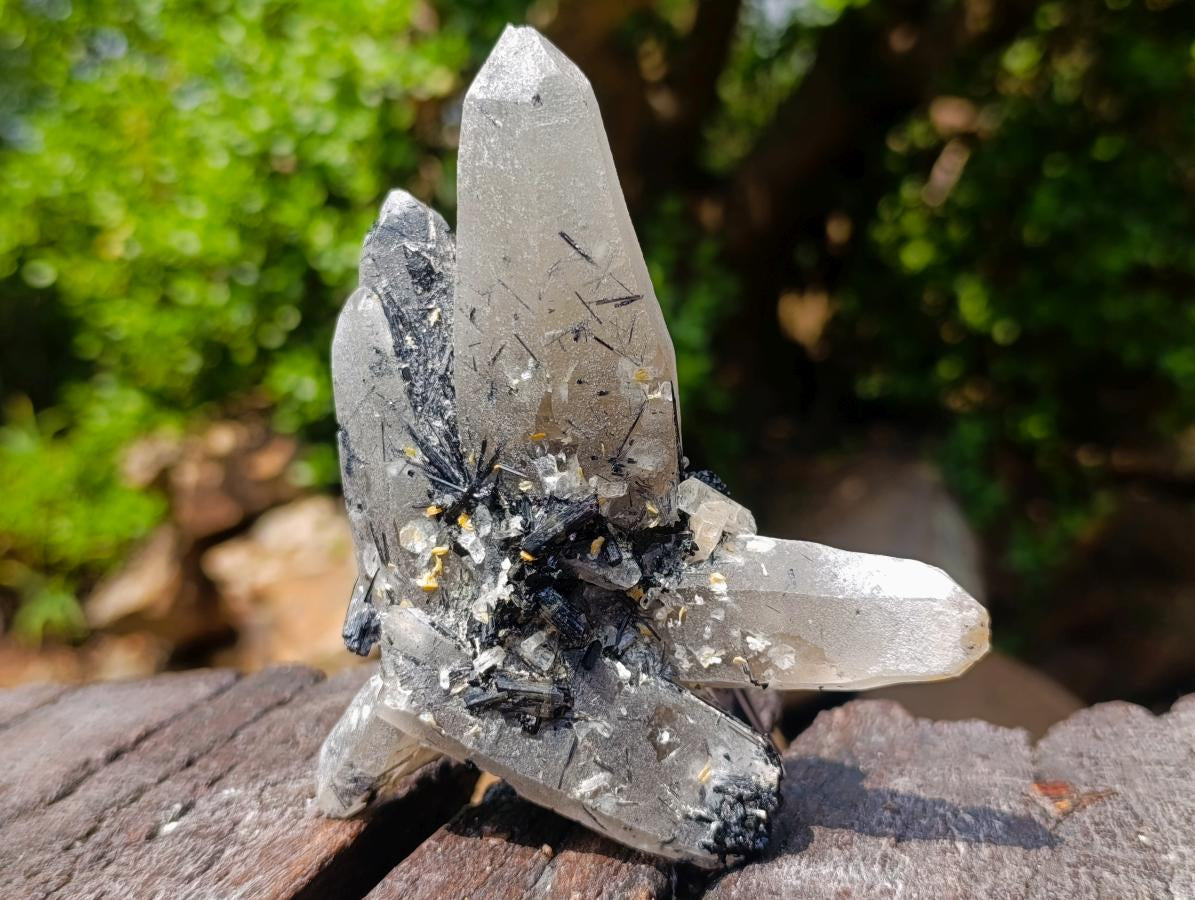 Natural Erongo Smokey Quartz with Black Schorl Tourmaline in a Splayed Formation x 1 From Erongo, Namibia