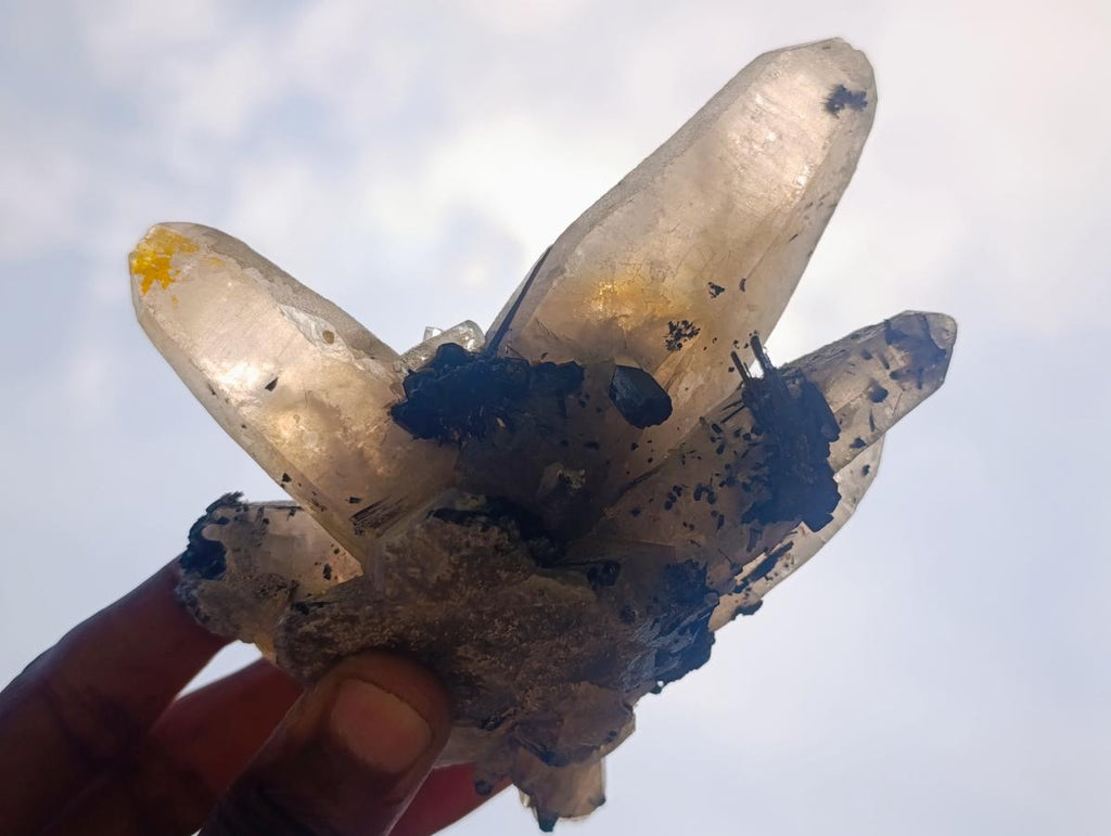 Natural Erongo Smokey Quartz with Black Schorl Tourmaline in a Splayed Formation x 1 From Erongo, Namibia