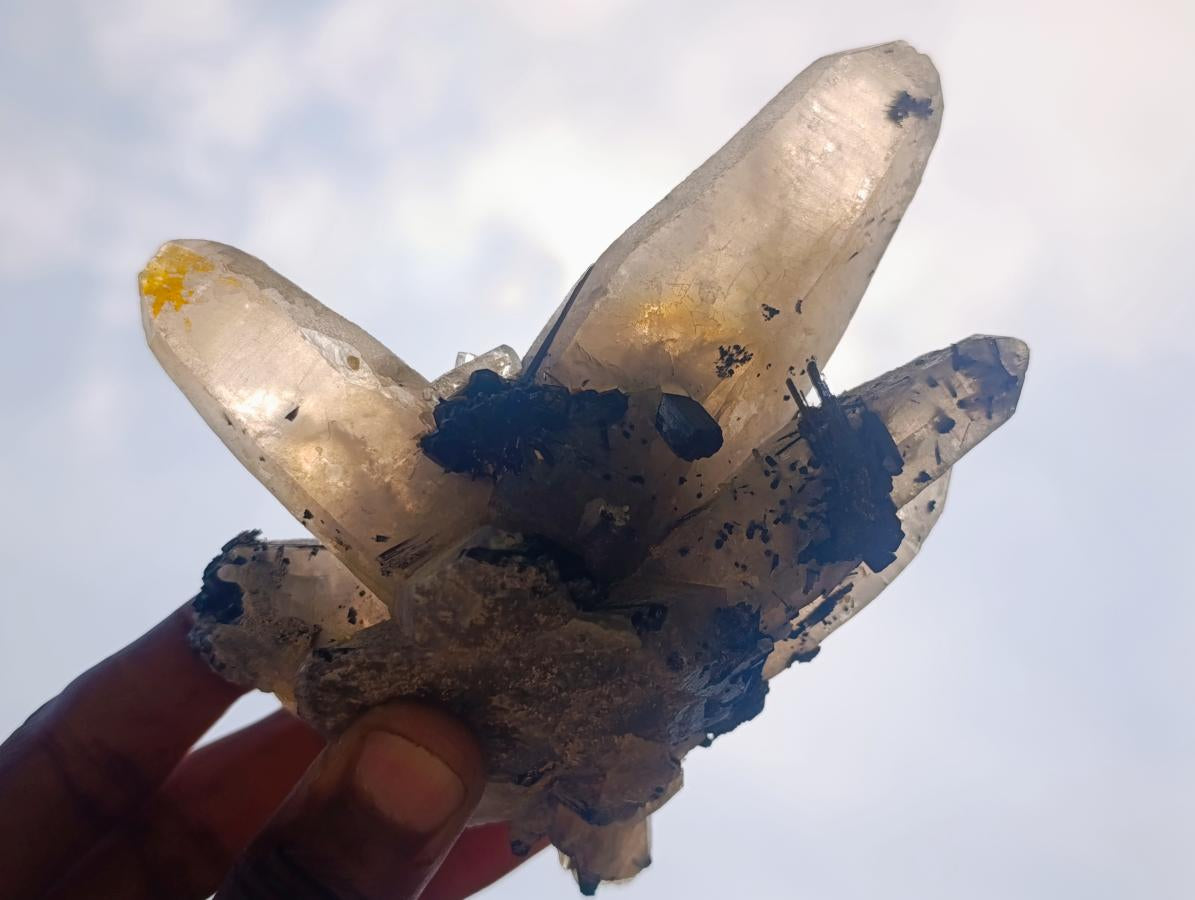 Natural Erongo Smokey Quartz with Black Schorl Tourmaline in a Splayed Formation x 1 From Erongo, Namibia