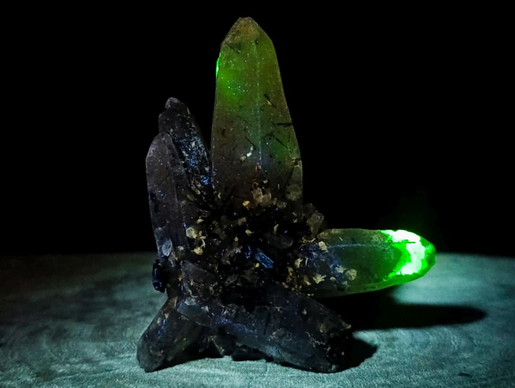 Natural Erongo Smokey Quartz with Black Schorl Tourmaline in a Splayed Formation x 1 From Erongo, Namibia