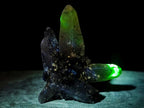 Natural Erongo Smokey Quartz with Black Schorl Tourmaline in a Splayed Formation x 1 From Erongo, Namibia