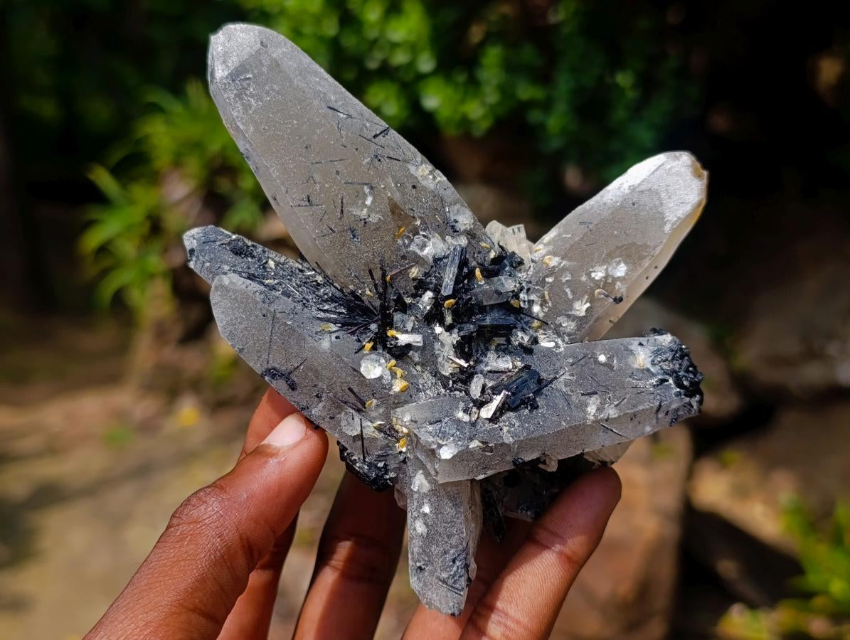 Natural Erongo Smokey Quartz with Black Schorl Tourmaline in a Splayed Formation x 1 From Erongo, Namibia