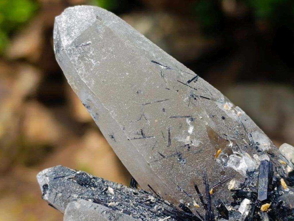 Natural Erongo Smokey Quartz with Black Schorl Tourmaline in a Splayed Formation x 1 From Erongo, Namibia