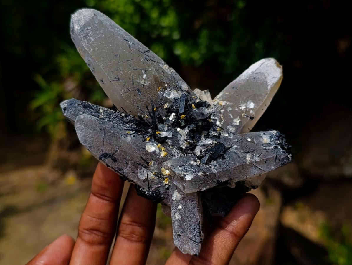 Natural Erongo Smokey Quartz with Black Schorl Tourmaline in a Splayed Formation x 1 From Erongo, Namibia