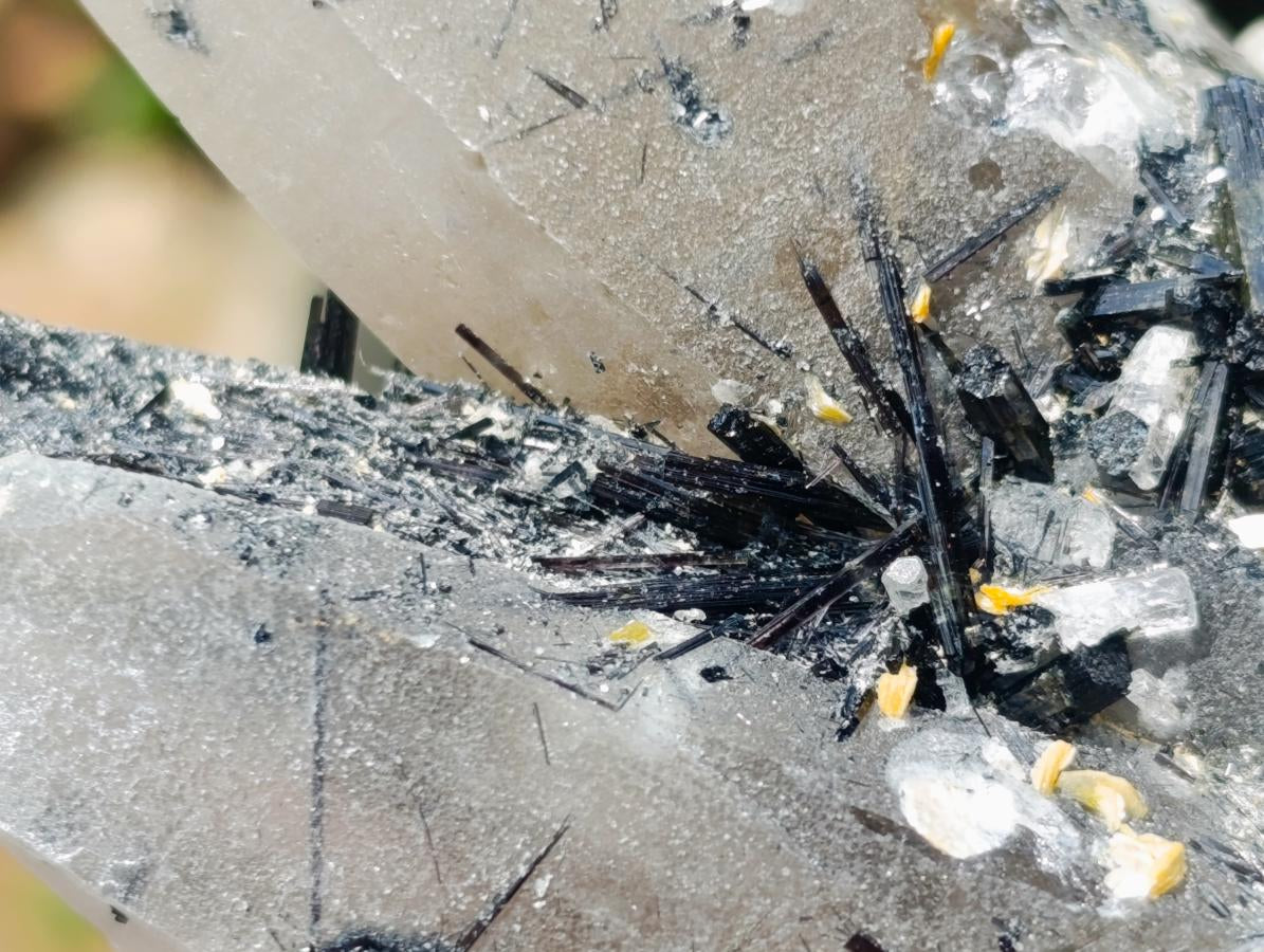 Natural Erongo Smokey Quartz with Black Schorl Tourmaline in a Splayed Formation x 1 From Erongo, Namibia