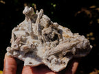 Natural Sceptre Like Fine Drusy Quartz Coated Calcite Specimen x 1 From Albert's Mountain, Lesotho