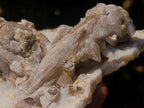 Natural Sceptre Like Fine Drusy Quartz Coated Calcite Specimen x 1 From Albert's Mountain, Lesotho