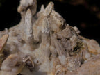 Natural Sceptre Like Fine Drusy Quartz Coated Calcite Specimen x 1 From Albert's Mountain, Lesotho