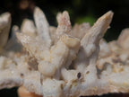 Natural Sceptre Like Fine Drusy Quartz Coated Calcite Specimen x 1 From Albert's Mountain, Lesotho