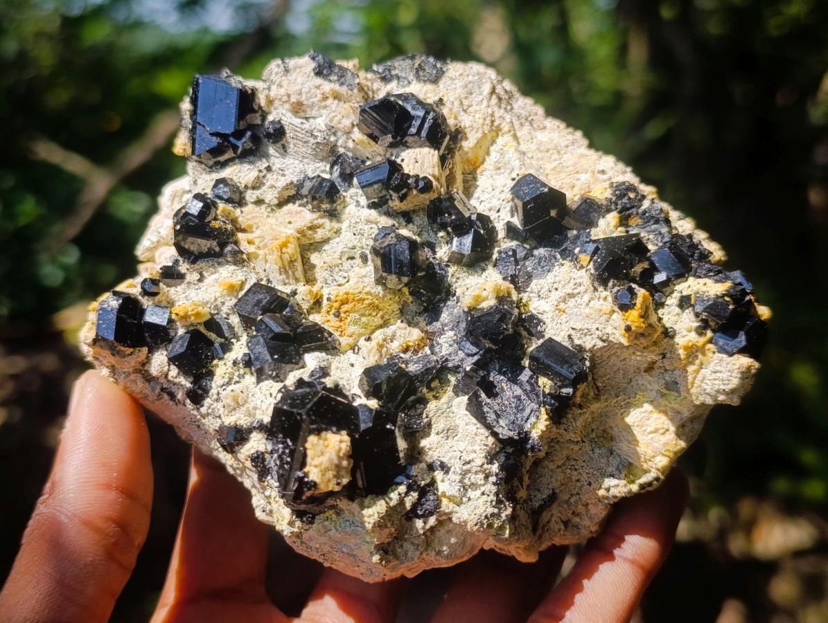 Natural Black Schorl Tourmaline Crystals Sitting on Top of a Feldspar Base x 1 From Erongo, Namibia