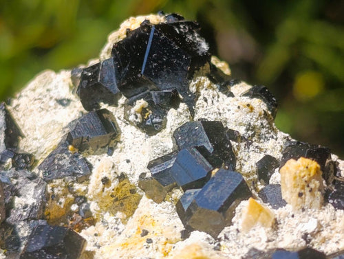Natural Black Schorl Tourmaline Crystals Sitting on Top of a Feldspar Base x 1 From Erongo, Namibia