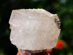 Natural Mixed Collectors Set of 6 African Minerals in a Wooden Display Box x 1 From Southern Africa