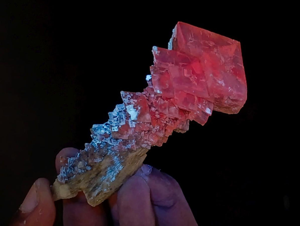 Natural Mixed Collectors Set of 6 African Minerals in a Wooden Display Box x 1 From Southern Africa