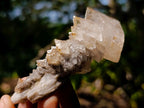 Natural Mixed Collectors Set of 6 African Minerals in a Wooden Display Box x 1 From Southern Africa