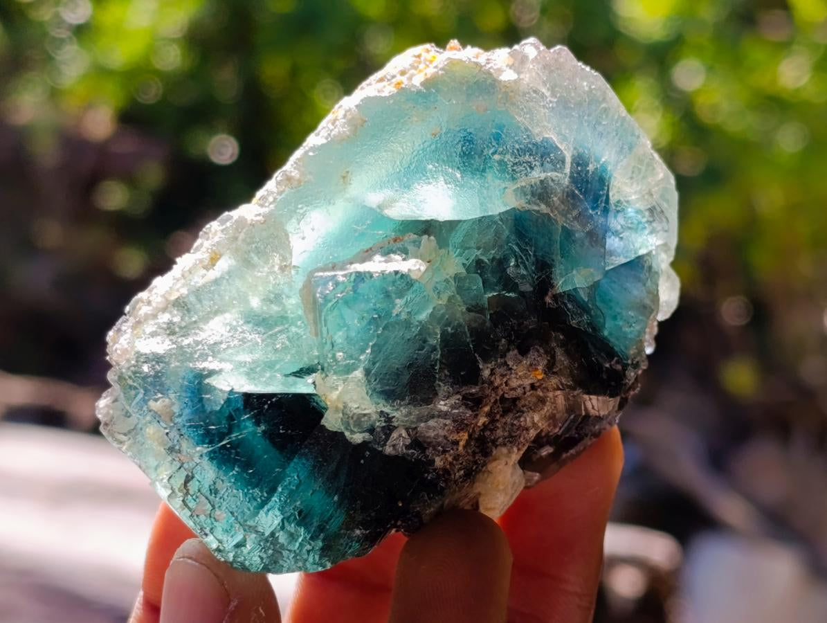Natural Mixed Collectors Set of 6 African Minerals in a Wooden Display Box x 1 From Southern Africa