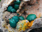 Natural Large Rare Ball Malachite on Quartz and Dolomite Specimen x 1 From Mindingi Mine, Congo