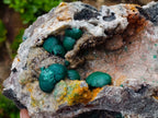 Natural Large Rare Ball Malachite on Quartz and Dolomite Specimen x 1 From Mindingi Mine, Congo