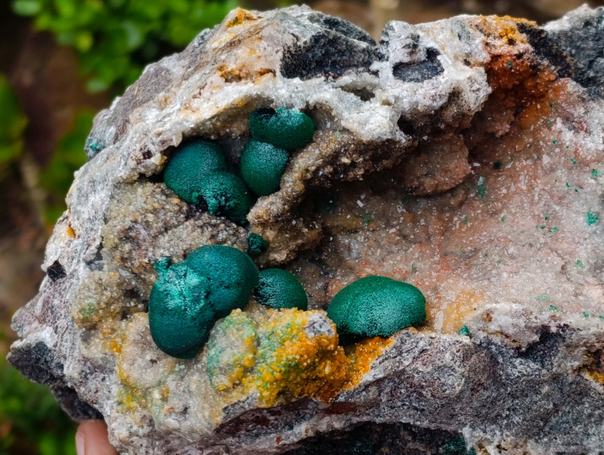 Natural Large Rare Ball Malachite on Quartz and Dolomite Specimen x 1 From Mindingi Mine, Congo