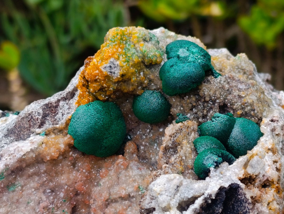 Natural Large Rare Ball Malachite on Quartz and Dolomite Specimen x 1 From Mindingi Mine, Congo