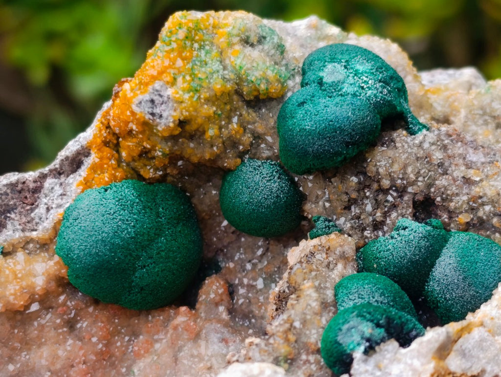 Natural Large Rare Ball Malachite on Quartz and Dolomite Specimen x 1 From Mindingi Mine, Congo