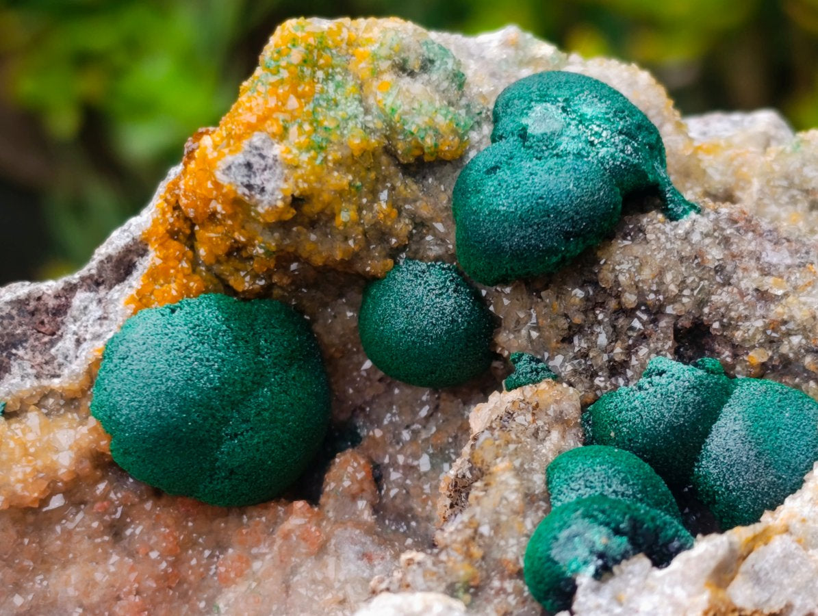 Natural Large Rare Ball Malachite on Quartz and Dolomite Specimen x 1 From Mindingi Mine, Congo