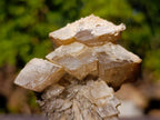 Natural Fluorescent Lesotho Calcite on a Stem Specimen x 1 From Albert's Mountain, Lesotho
