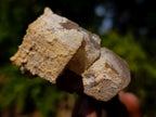 Natural Fluorescent Lesotho Calcite on a Stem Specimen x 1 From Albert's Mountain, Lesotho