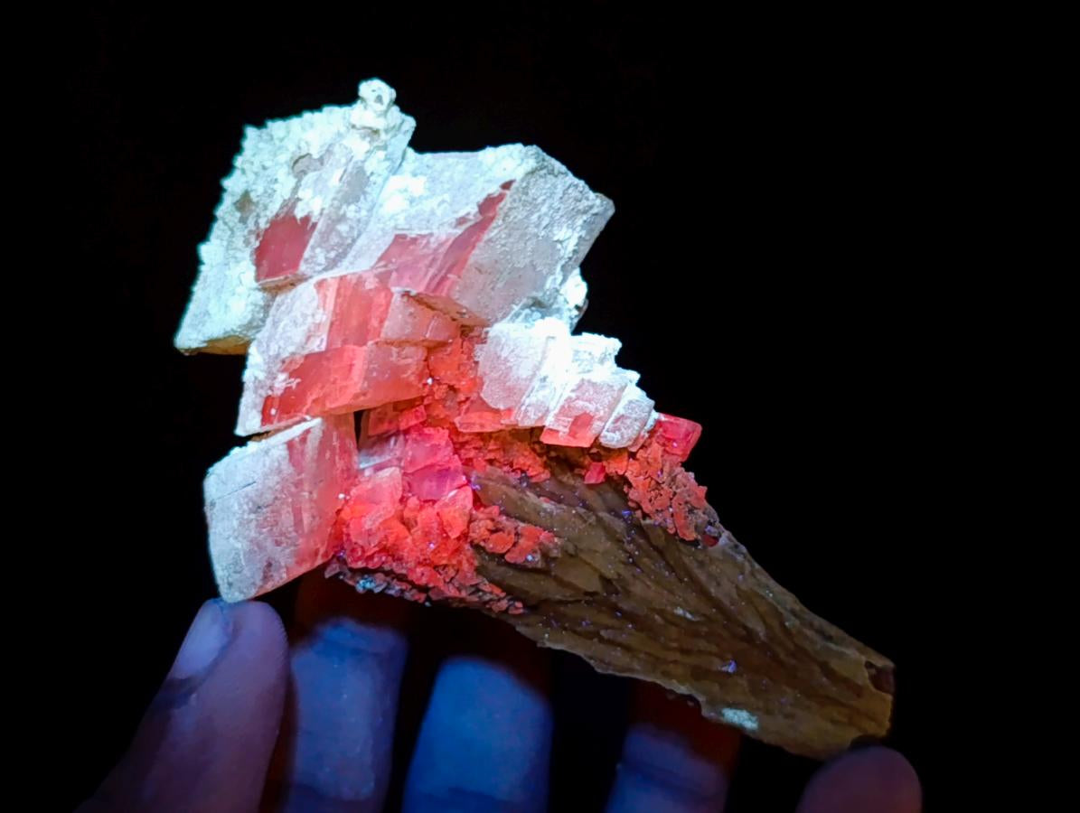 Natural Fluorescent Lesotho Calcite on a Stem Specimen x 1 From Albert's Mountain, Lesotho