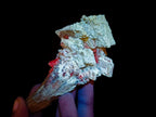 Natural Fluorescent Lesotho Calcite on a Stem Specimen x 1 From Albert's Mountain, Lesotho