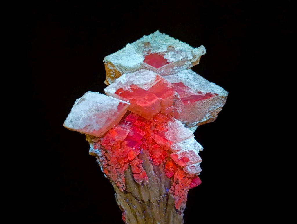 Natural Fluorescent Lesotho Calcite on a Stem Specimen x 1 From Albert's Mountain, Lesotho
