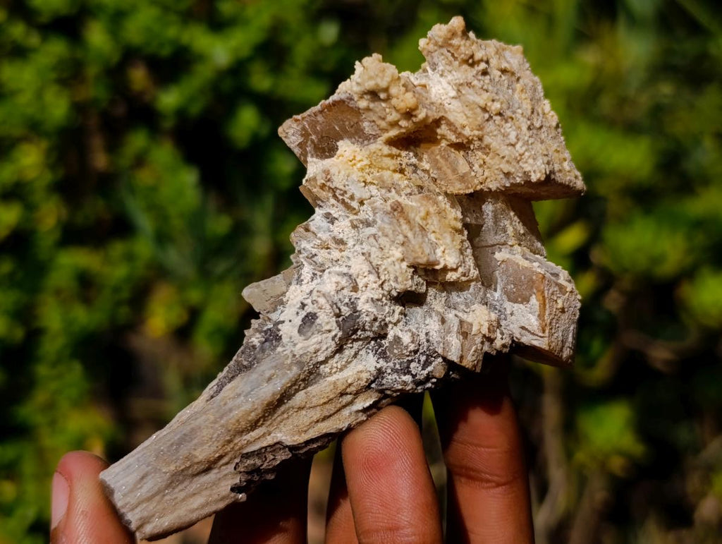 Natural Fluorescent Lesotho Calcite on a Stem Specimen x 1 From Albert's Mountain, Lesotho