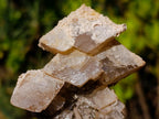 Natural Fluorescent Lesotho Calcite on a Stem Specimen x 1 From Albert's Mountain, Lesotho