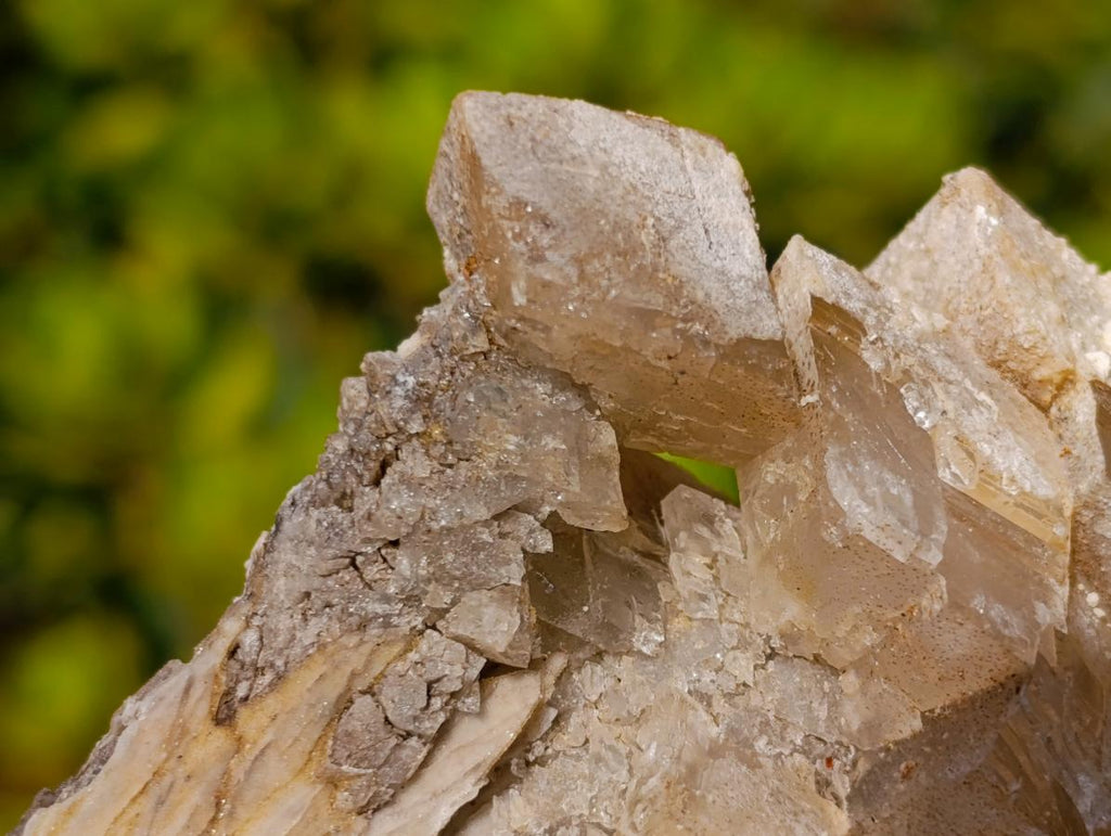Natural Fluorescent Lesotho Calcite on a Stem Specimen x 1 From Albert's Mountain, Lesotho