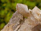 Natural Fluorescent Lesotho Calcite on a Stem Specimen x 1 From Albert's Mountain, Lesotho
