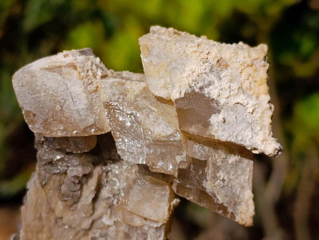 Natural Fluorescent Lesotho Calcite on a Stem Specimen x 1 From Albert's Mountain, Lesotho