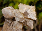 Natural Fluorescent Lesotho Calcite on a Stem Specimen x 1 From Albert's Mountain, Lesotho