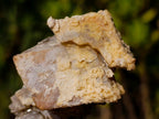 Natural Fluorescent Lesotho Calcite on a Stem Specimen x 1 From Albert's Mountain, Lesotho