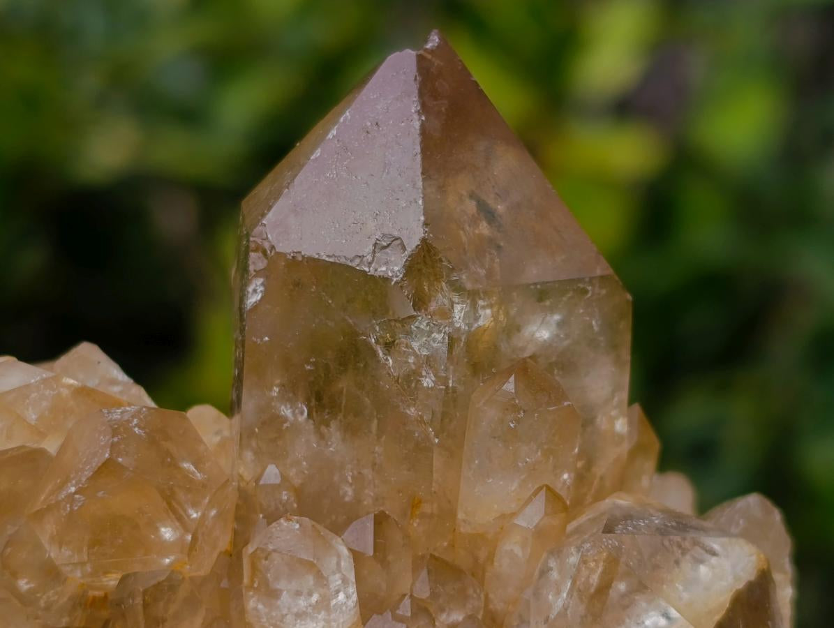 Natural Yellow Citrine Cascading Crystal Cluster x 1 From Luena, Congo