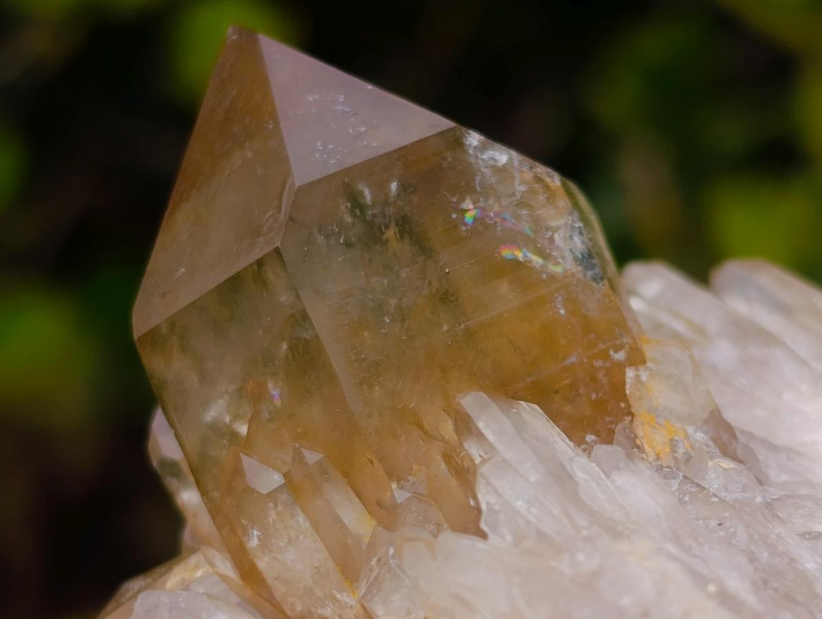 Natural Yellow Citrine Cascading Crystal Cluster x 1 From Luena, Congo