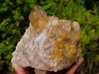 Natural Yellow Citrine Cascading Crystal Cluster x 1 From Luena, Congo