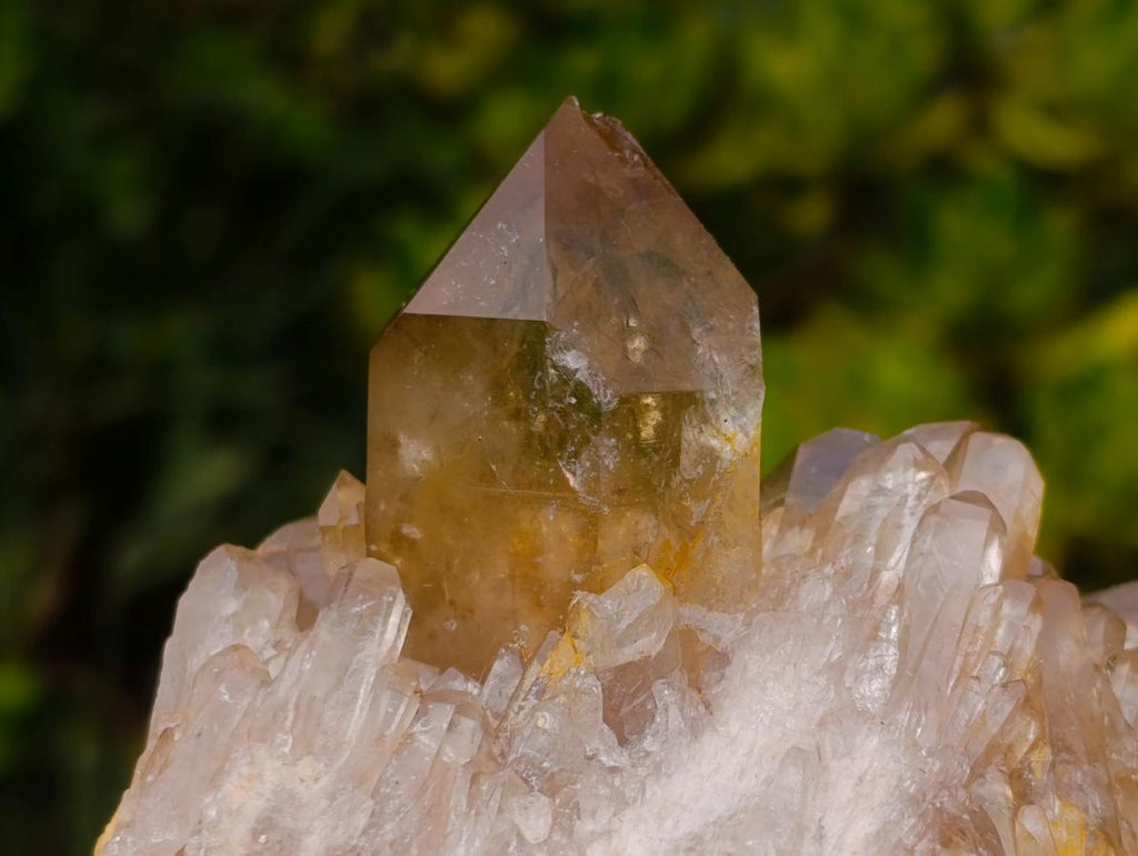 Natural Yellow Citrine Cascading Crystal Cluster x 1 From Luena, Congo