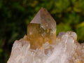 Natural Yellow Citrine Cascading Crystal Cluster x 1 From Luena, Congo