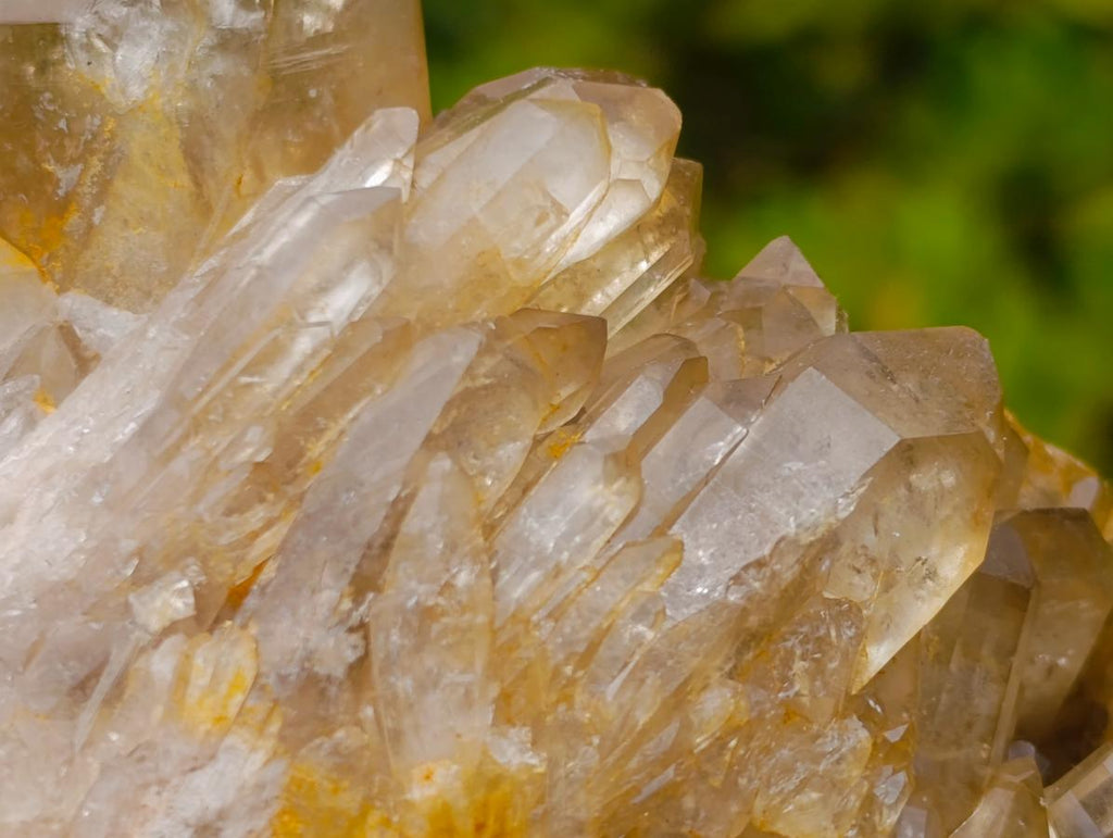 Natural Yellow Citrine Cascading Crystal Cluster x 1 From Luena, Congo