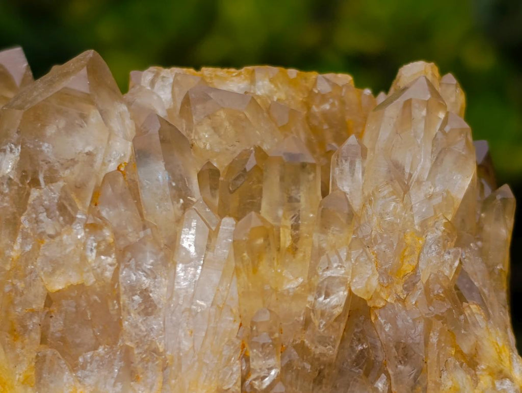 Natural Yellow Citrine Cascading Crystal Cluster x 1 From Luena, Congo