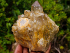 Natural Yellow Citrine Cascading Crystal Cluster x 1 From Luena, Congo