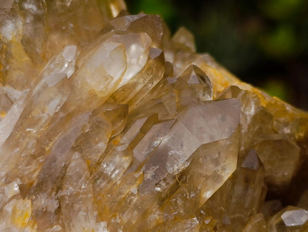 Natural Yellow Citrine Cascading Crystal Cluster x 1 From Luena, Congo