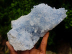 Natural Acicular Ice Blue Celestite Crystal Plate x 1 From Sakoany, Madagascar