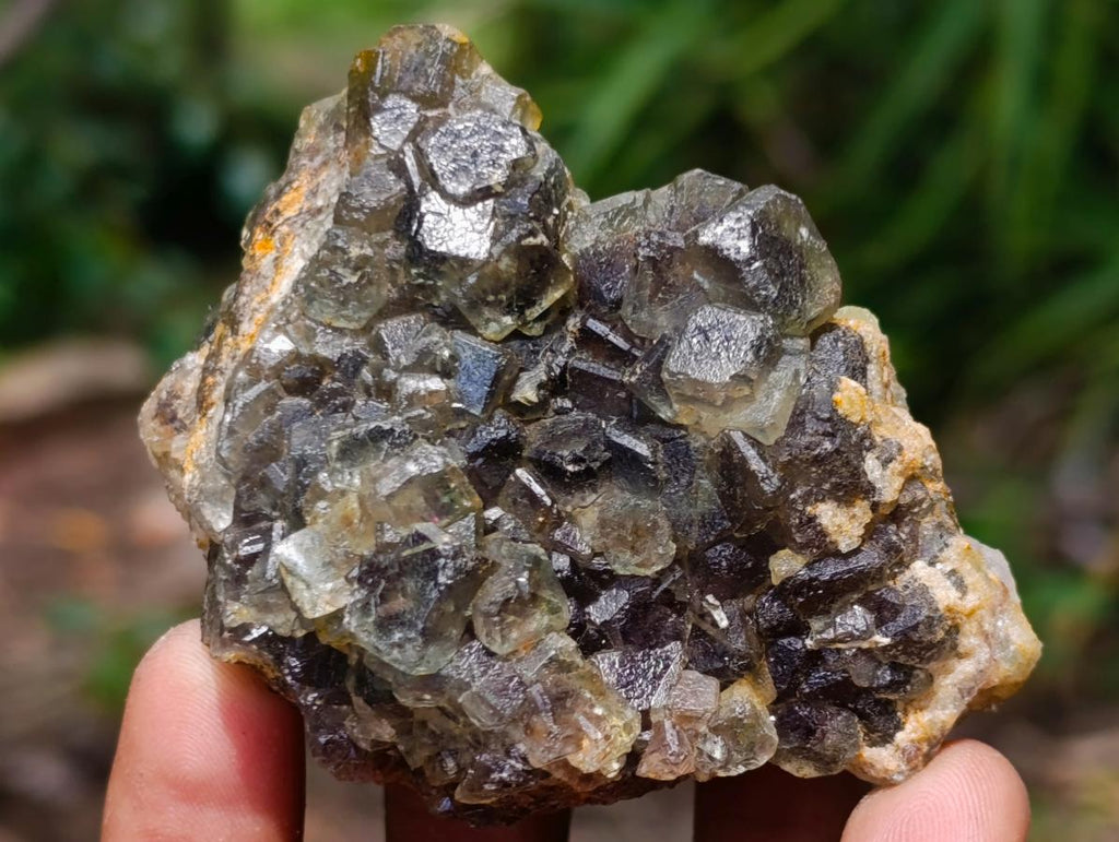 Natural Mixed Collectors Set of 6 African Minerals in a Wooden Display Box x 1 From Southern Africa