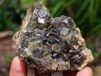Natural Mixed Collectors Set of 6 African Minerals in a Wooden Display Box x 1 From Southern Africa